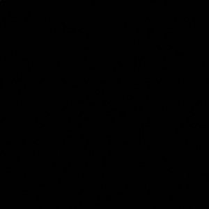 Meet your Posher, Ali